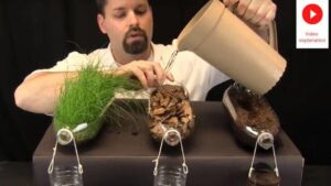 soil erosion blog ncert