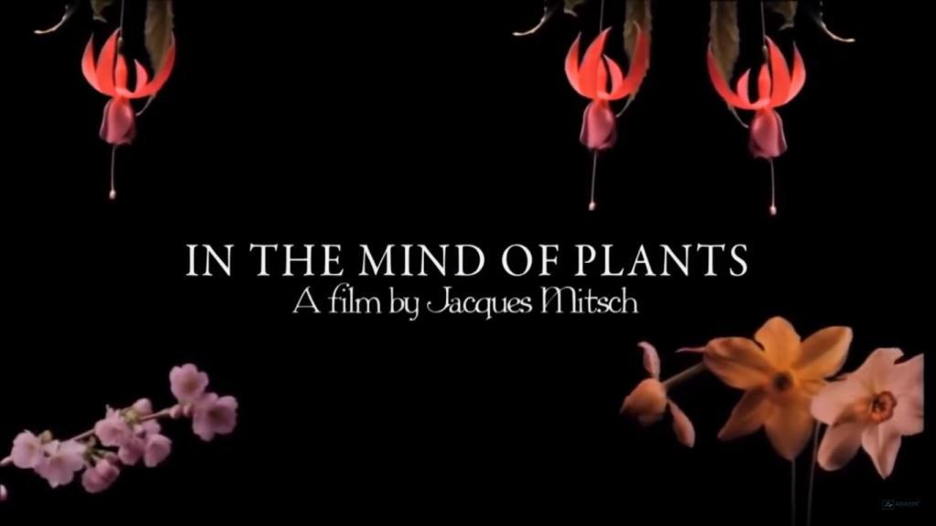 How Plants Communicate & Think Experihub Learning