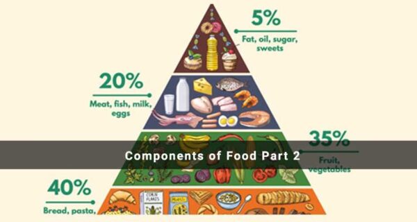 Components of Food & Testing