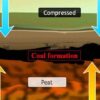 Coal and Petroleum