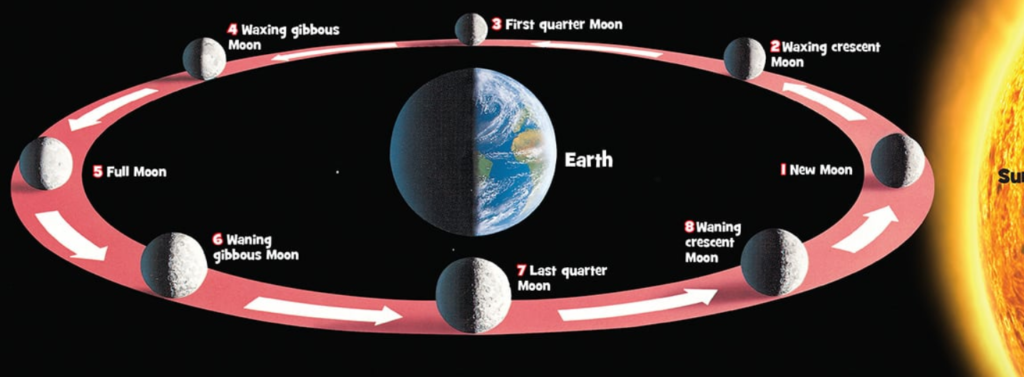 PHASES OF THE MOON. DOES THE MOON CHANGE SHAPE? | Learn Science through ...