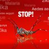 Diseases from Mosquitoes