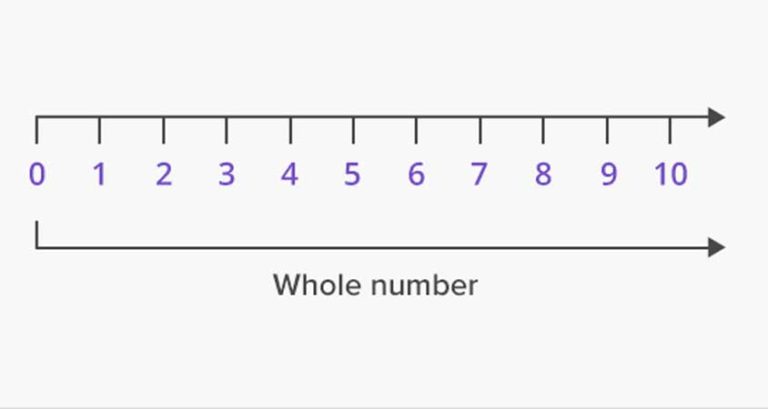 The number is included. Whole numbers. Whole numbers Definition. Draw a number line of whole number. Decimal multpily whole number.