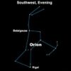 The Constellations