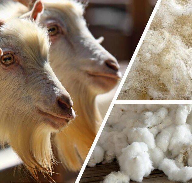 Animal Fibre to Fabric Learn Science through Experiments