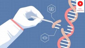 DNA explained
