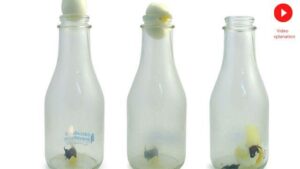 Fun science experiment for kids AIR pressure