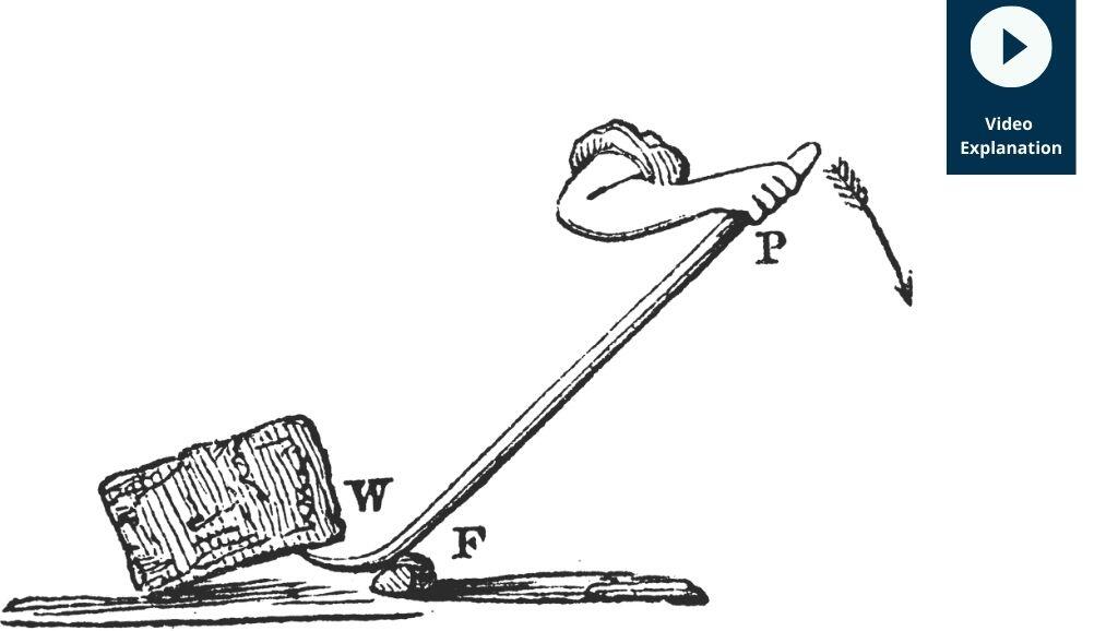 types of lever