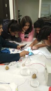 experiential learning-live sessions