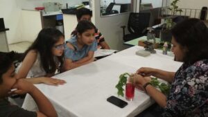 experiential learning-live sessions