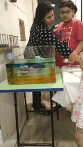 experiential learning-live sessions