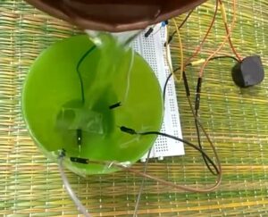 Electronics workshop science workshops near me