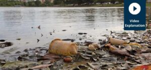 water pollution explained